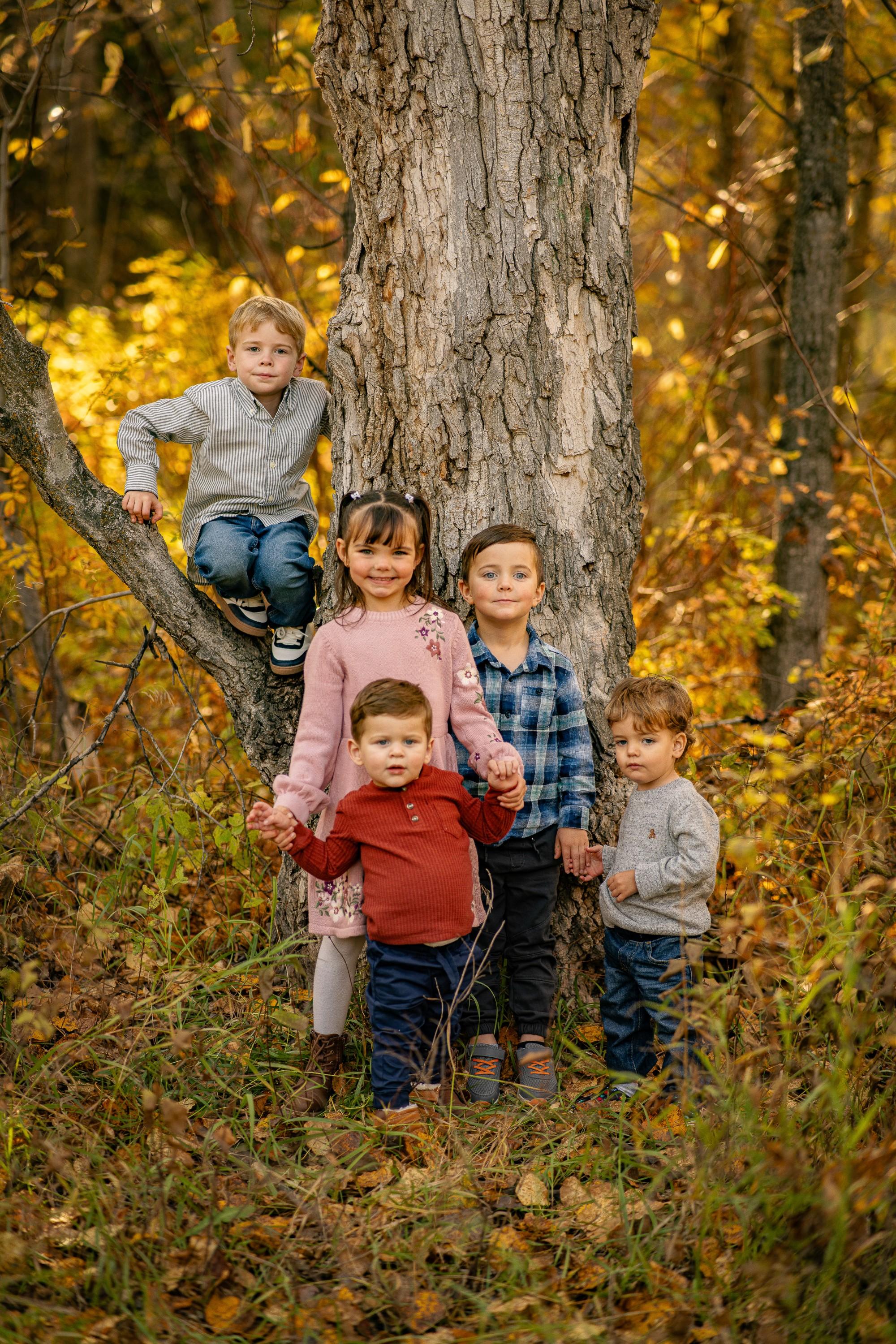 Fall Mini Sessions: An Incredible Experience